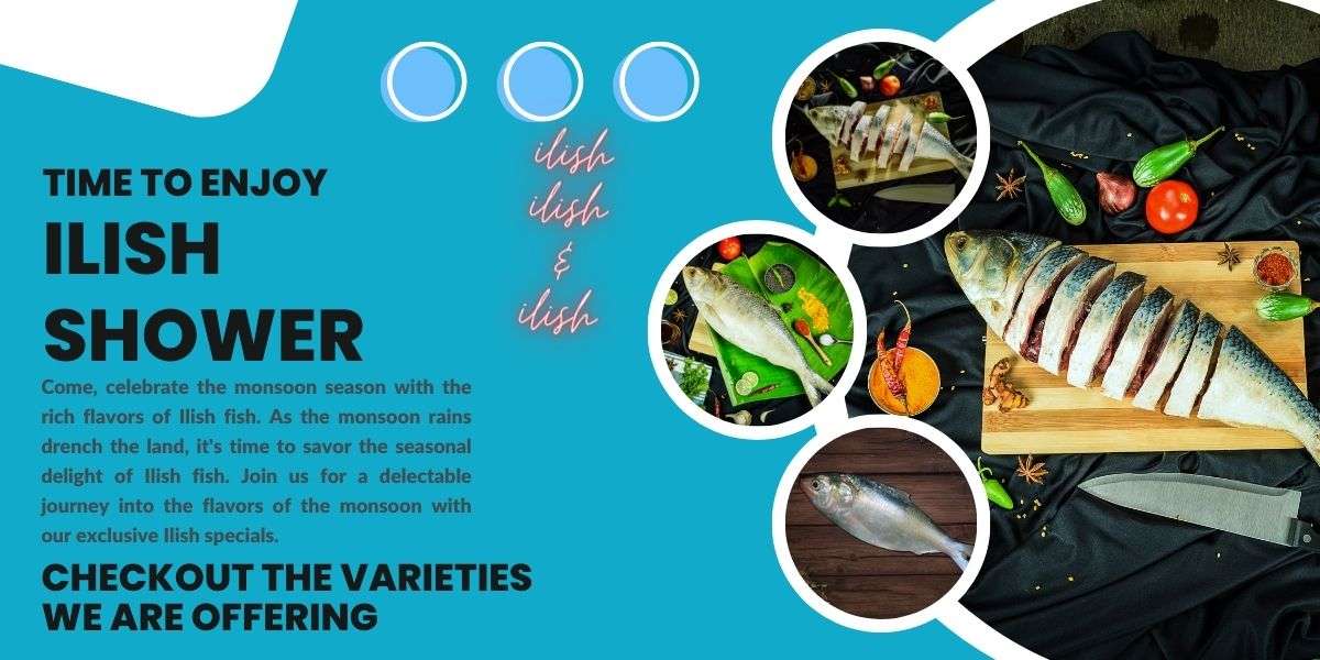 ilish banner