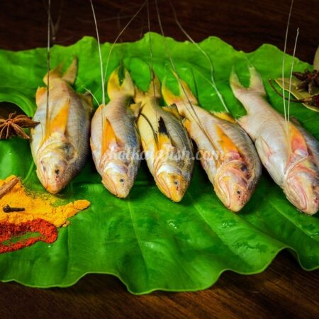 Buy Topshe/Mango Fish