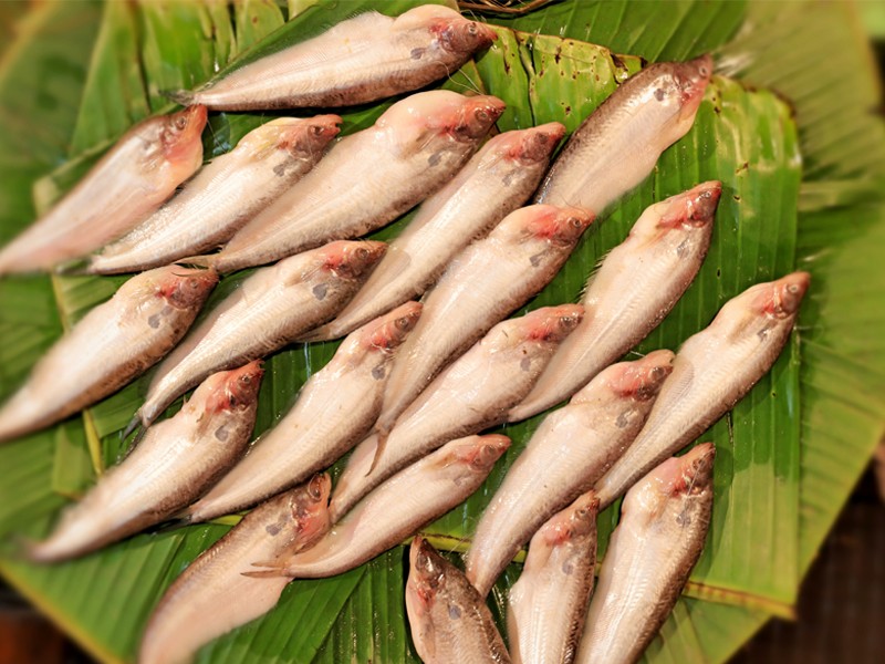 Buy Pabdabutter Fish Online Online Fish Store Of Kolkata