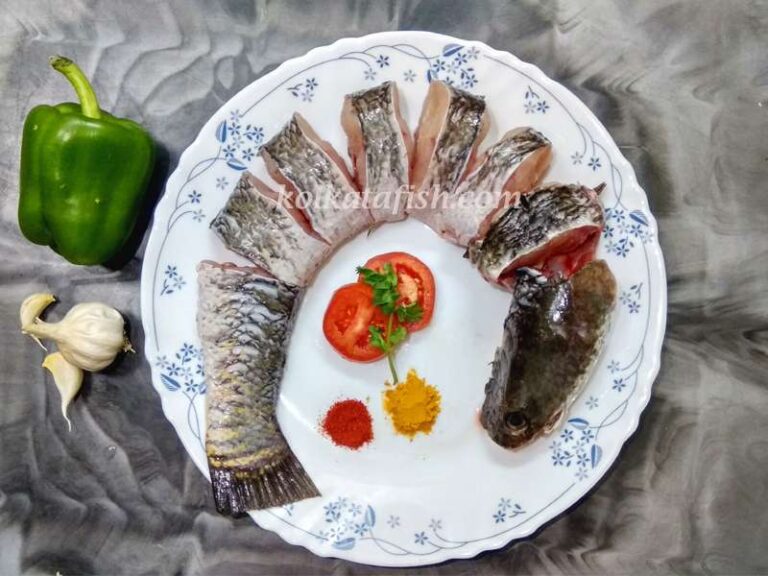 Buy Shol Fish Online Online Fishandmeat Store Of Kolkata