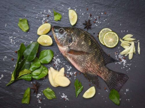 Buy Lailantika Fish Online