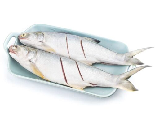 Buy Indian Salmon online