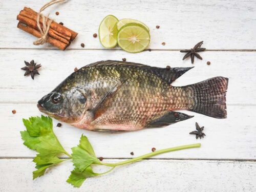 Buy lailantica online