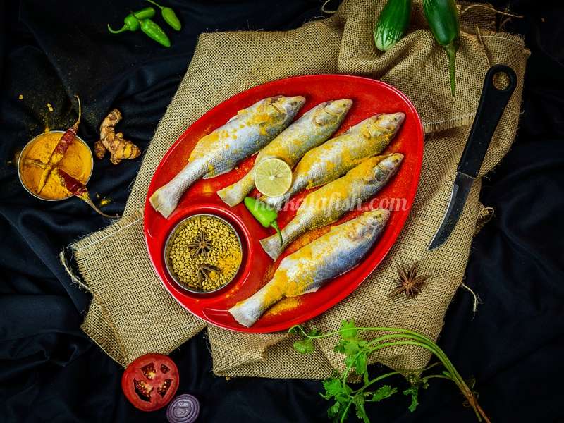 Topshe/Mango Fish Online