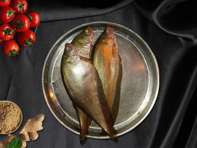 Buy Foli/Phouli Fish Online