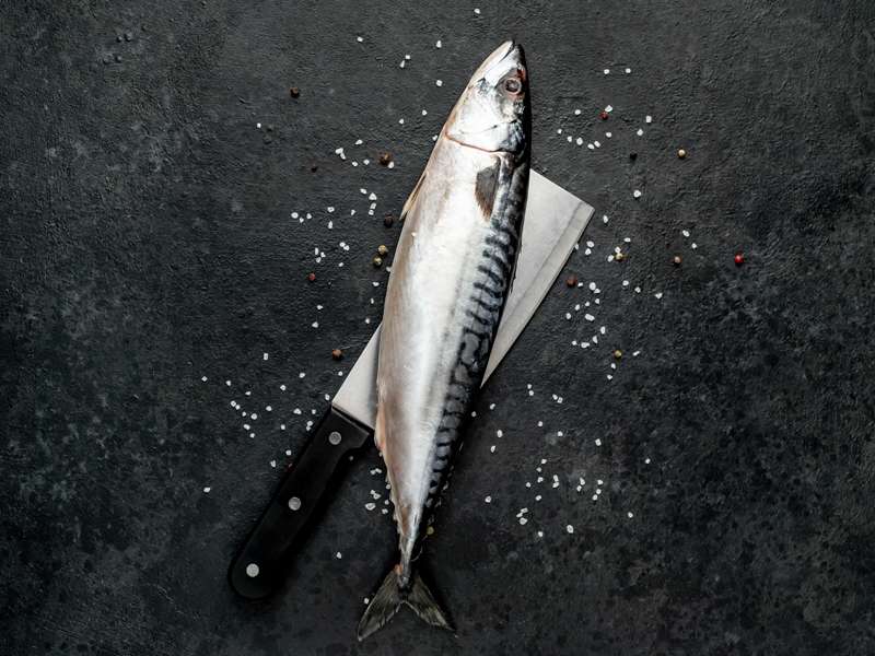 buy mackerel fish online