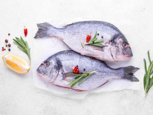 sea bream